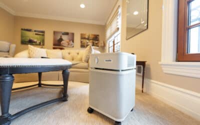 Do Air Purifiers Really Work?